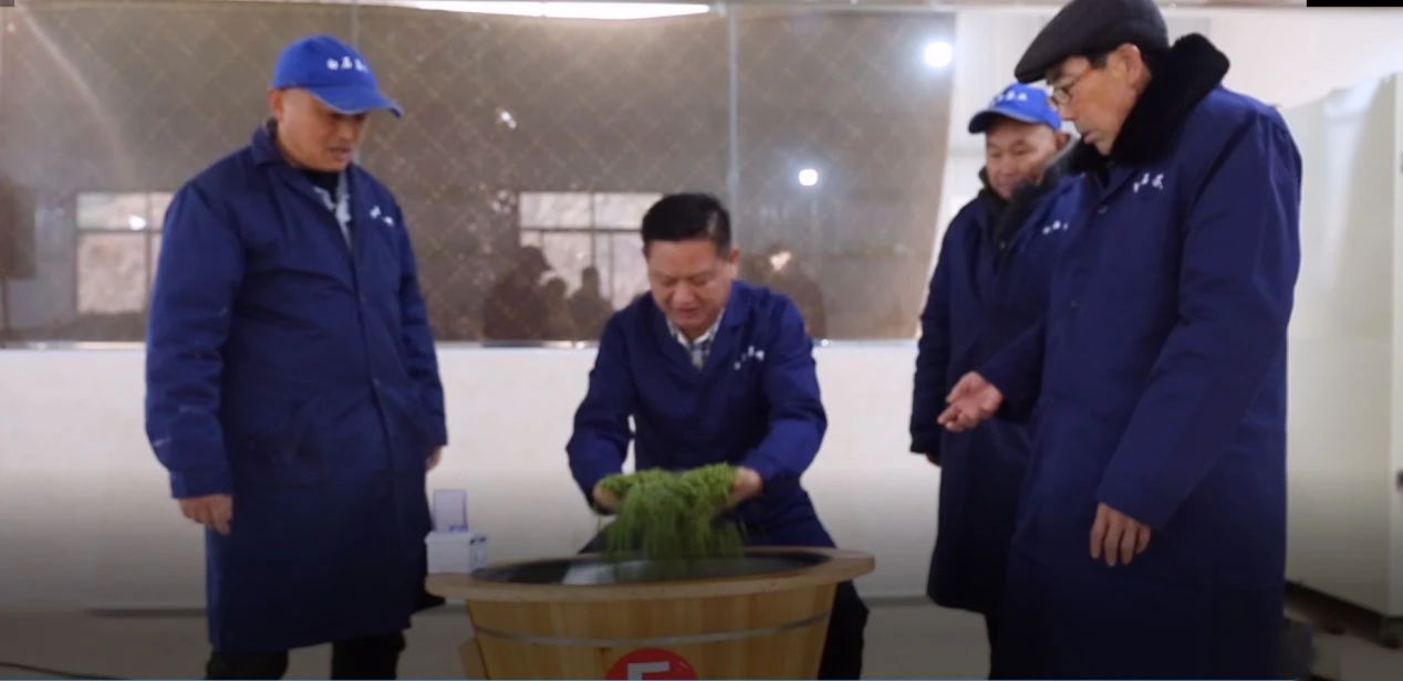 非遗传承守匠心，白石茶香续千年 ——临湘白石千车岭茶业以匠心铸就非遗茗茶