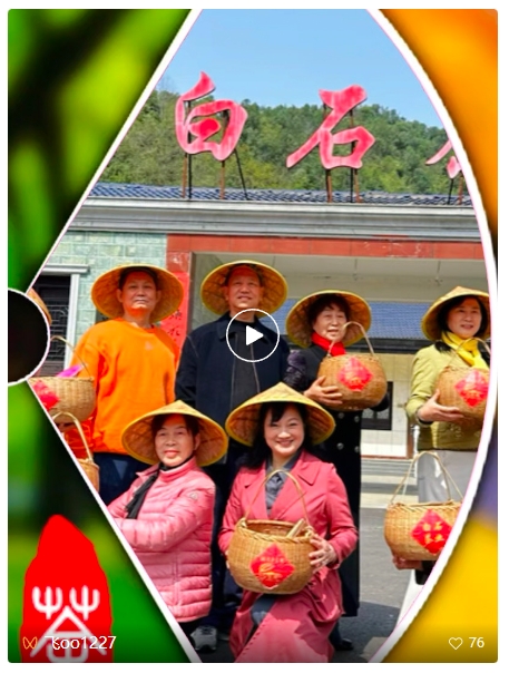 视频 || 踏青好时节在白石茶园