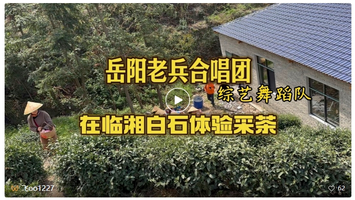 视频 || 岳阳老兵合唱团在白石茶园体验采(制)茶