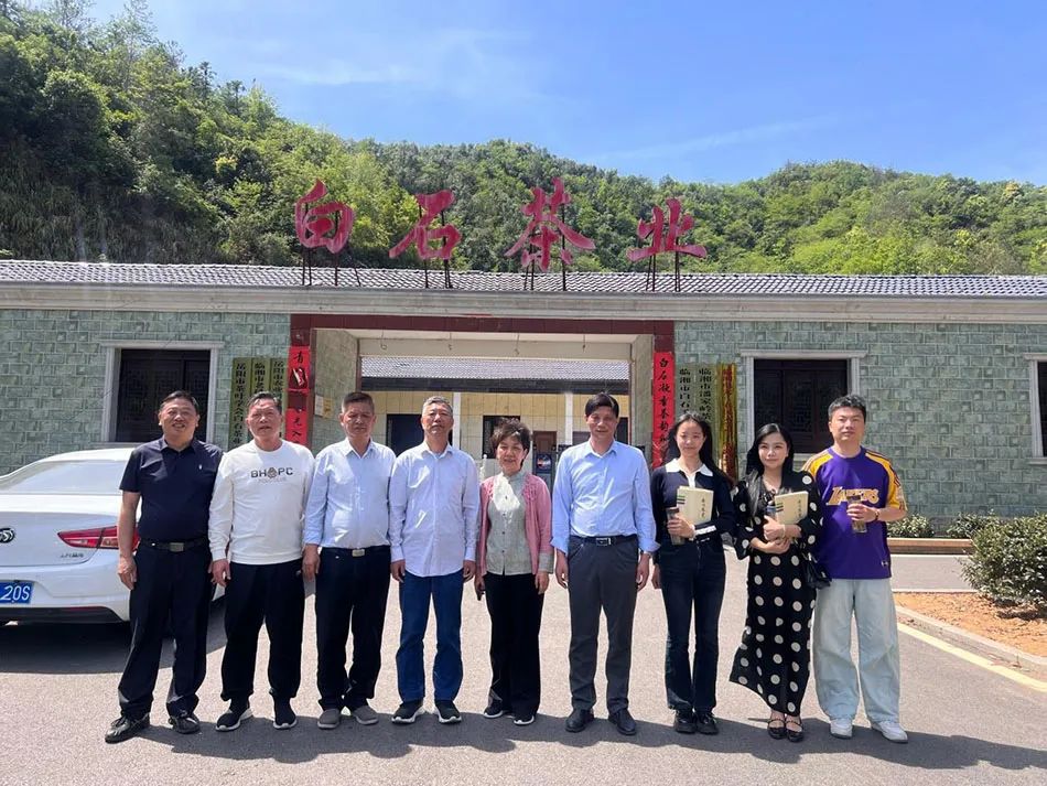 专家组进驻白石茶业 共绘高质量发展蓝图