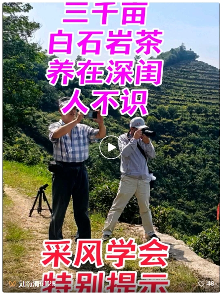 刘衍清视频 || 白石岩茶养在深闺人不识