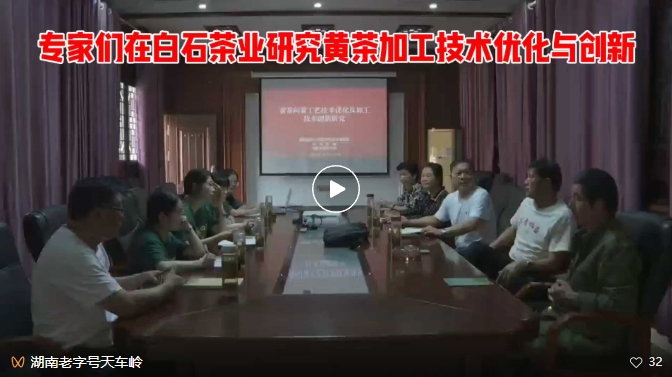 湖南农大沈程文导师课题组与岳阳市茶叶学会专家在白石茶业研究黄茶加工技术优化与创新