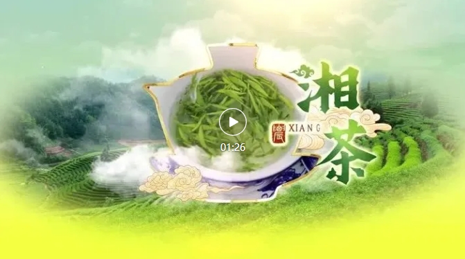 湖南省农业农村厅发布农业品牌短片《湘茶》