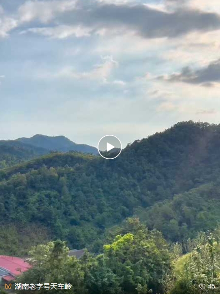 湖南民族职业学院数智技术学院大学生暑期三下乡“Z时代助农人”乡村振兴促进团来白石茶业助农