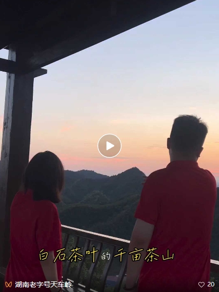 大学生镜头里美丽的白石茶园